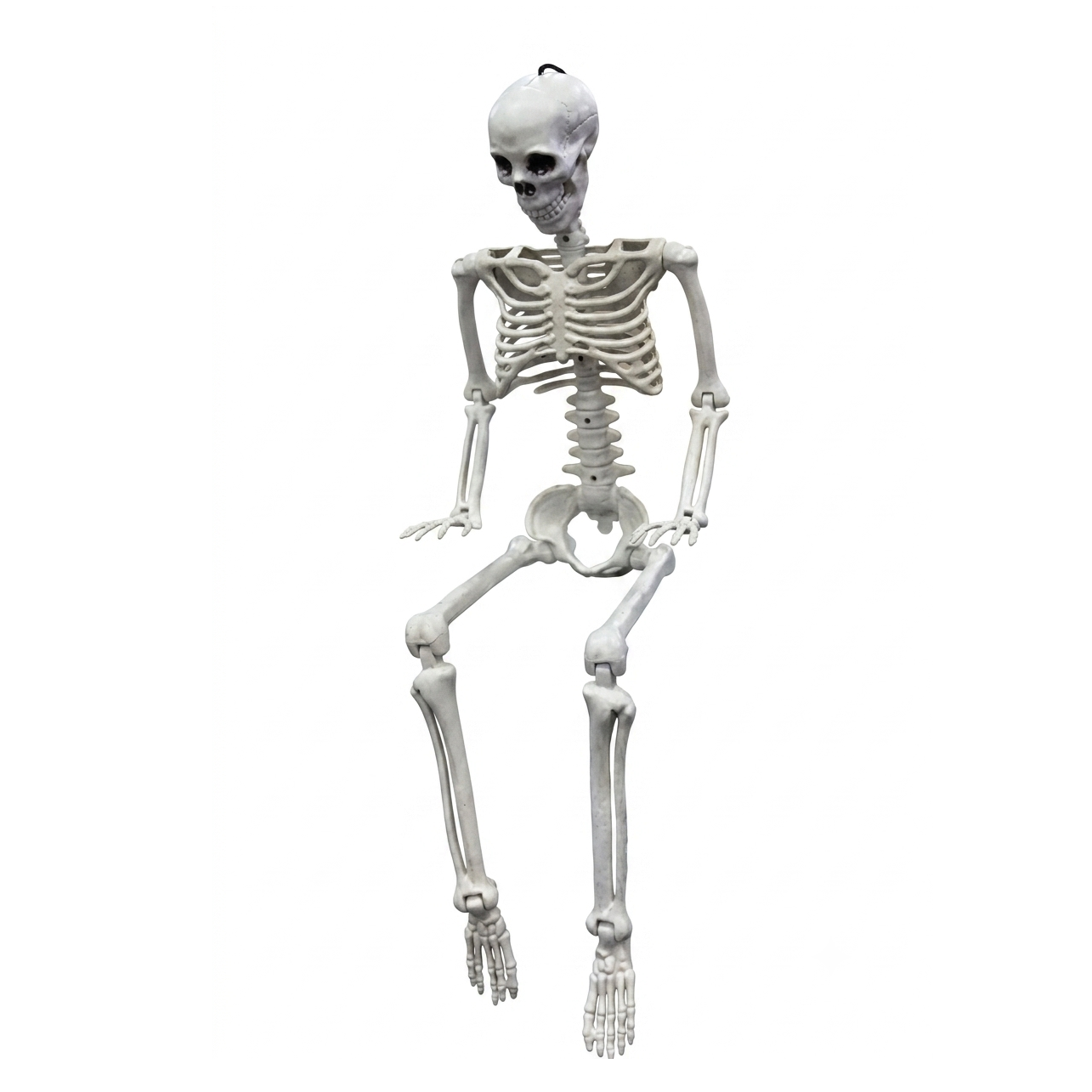 3-Foot Posable Hanging Plastic Skeleton Prop, Wholesale
