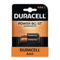 Duracell Coppertop AAA Alkaline Batteries with Power Boost, 2-Pack, Wholesale