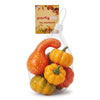 Partyrite 6-Piece Artificial Harvest Pumpkin & Curved Swan Neck Gourd Decoration Set | Wholesale