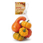 Partyrite 6-Piece Artificial Harvest Pumpkin & Curved Swan Neck Gourd Decoration Set | Wholesale