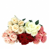Bouquet of red, pink, and white roses on a white background