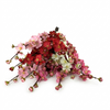 Bouquet of pink, red, and white flowers on a white background