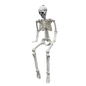 3-Foot Posable Hanging Plastic Skeleton Prop, Wholesale