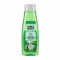Alberto Vo5 Kiwi Lime Clarifying Shampoo bottle on a white background