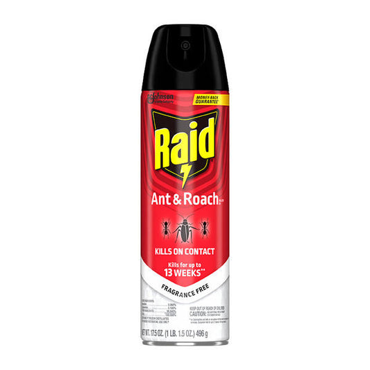Raid Ant & Roach killer spray can on a white background