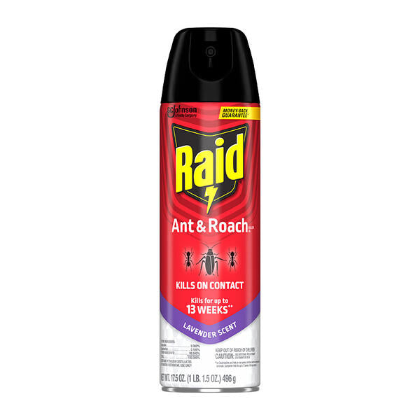 Raid Ant & Roach spray can on a white background