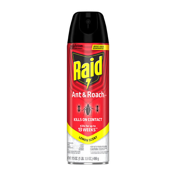 Raid ant and roach killer spray can on a white background