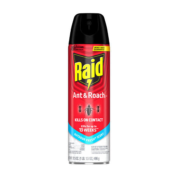 Raid Ant & Roach killer spray can on a white background