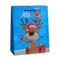 Giftrite Medium Christmas Paper Gift Bags with Handles & Gift Tags, 9" x 7" x 4", Assorted Holiday Prints | Wholesale